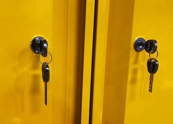 কেনা Chemical Storage Cabinet with 109x46x123CM, 109x46x165CM, and 109x86x165CM Sizes for Hazardous Material Storage অনলাইনে উৎপাদন